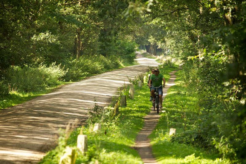 fietsmogelijkheden bij camping en chaletpark Recreatiepark 't Zand
