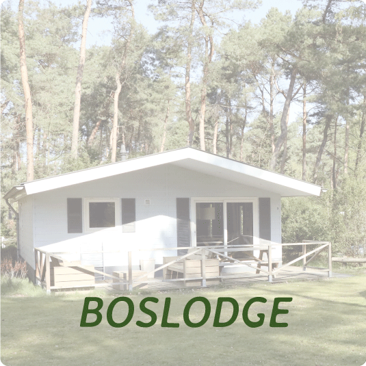 Boslodge luxe accommodatie bij familiecamping Recreatiepark 't Zand