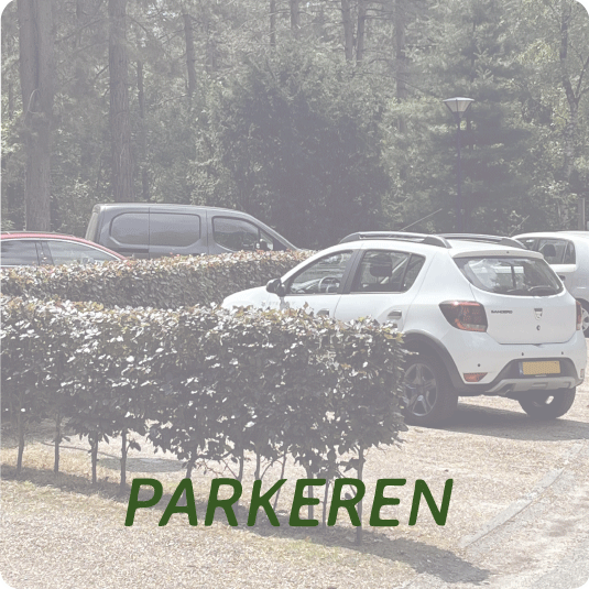 parkeren bij camping en chaletpark Recreatiepark 't Zand