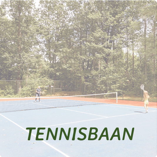 Tennissen bij camping en chaletpark Recreatiepark 't Zand