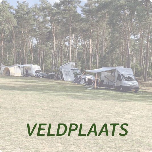 Veldplaats kamperen bij camping en chaletpark Recreatiepark 't Zand